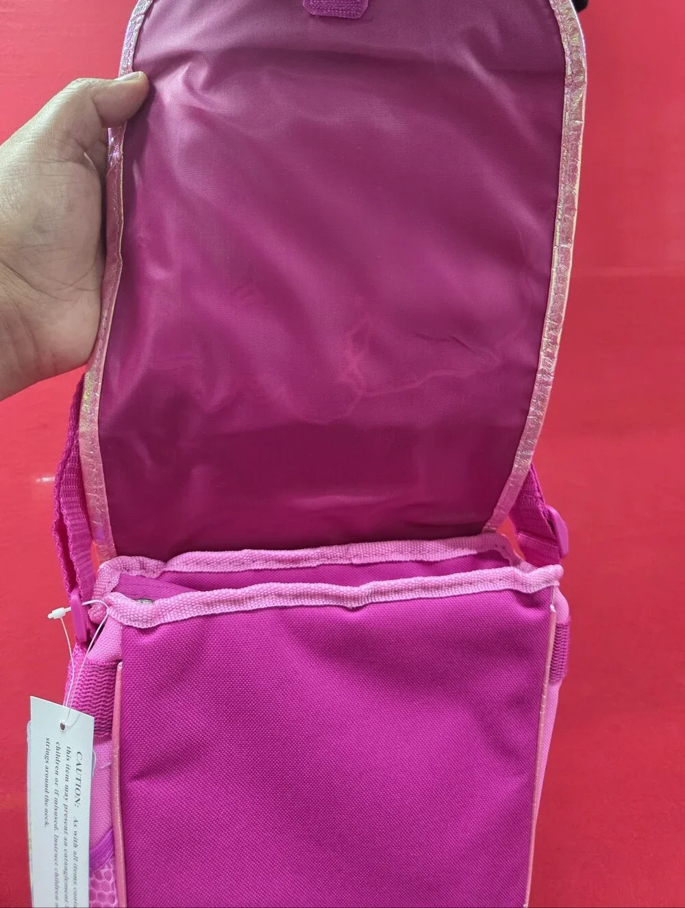 Princess Lunchbag